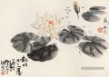 Wu zuoren nénuphar étang à la chinoise traditionnelle